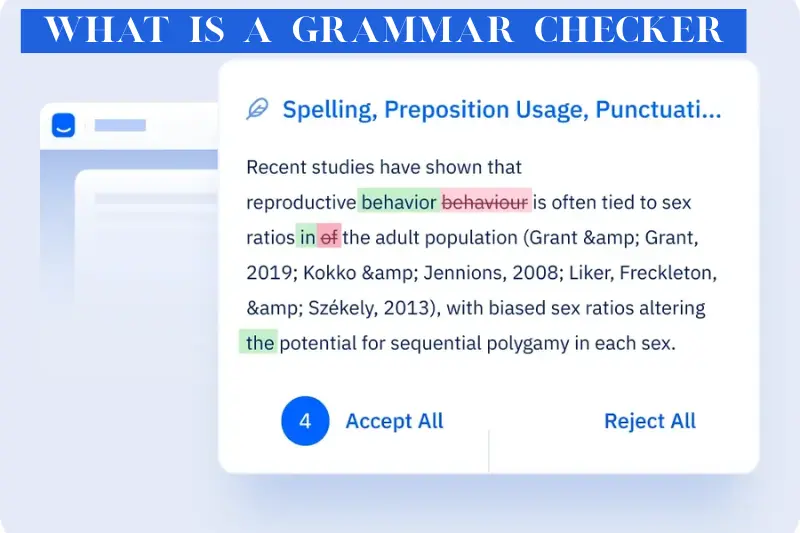 what is a grammar checker