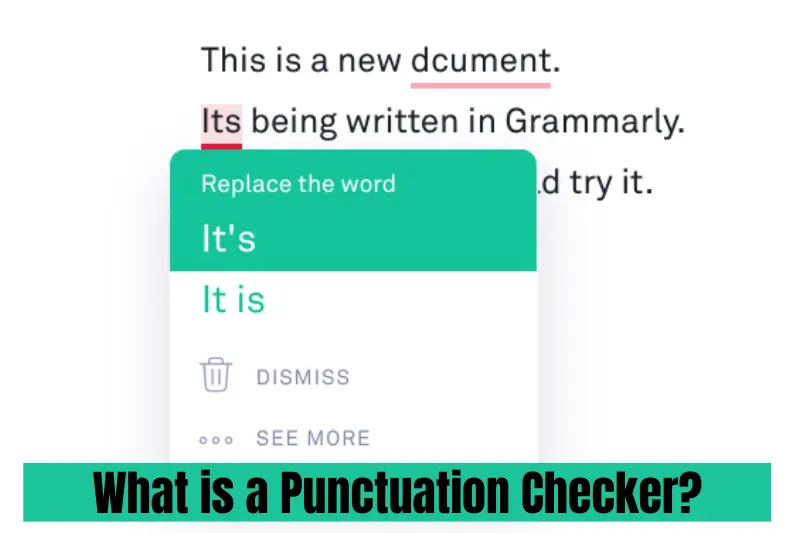 what is a punctuation checker