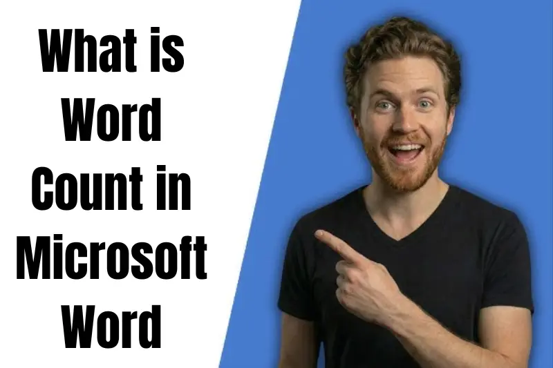what is word count in microsoft word